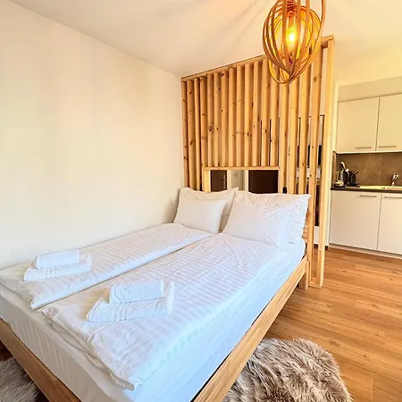 In Mit Parkplatz Apartment Interlaken